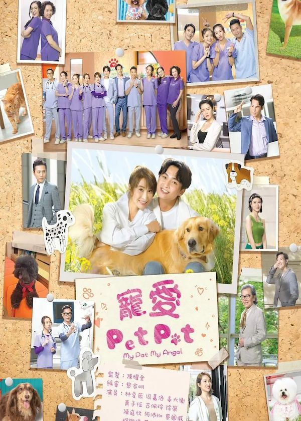 Watch latest TVB Drama My Pet My Angel on HK Drama Online